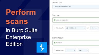 How to perform scans in Burp Suite DAST