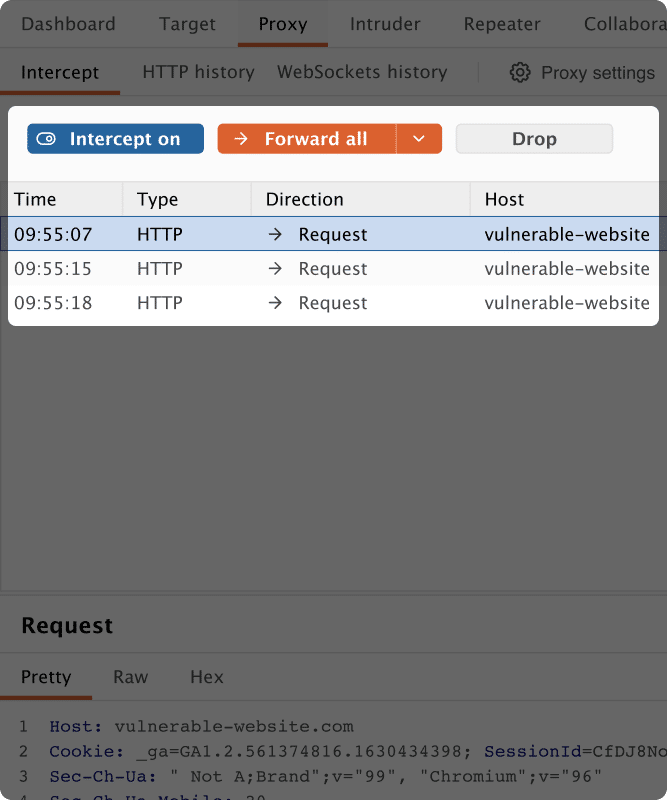 Portswigger Culture Hero Image